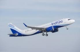 IndiGo Flight Diverted: Passenger Alleges False Hotel Promises, Airline Responds
