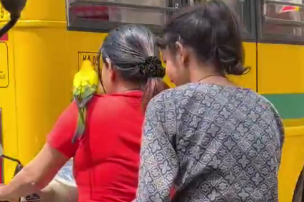 Woman Rides Helmetless with Parrot in Bengaluru, Video Goes Viral